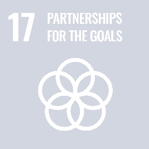 UN Goal - Partnerships for the goals